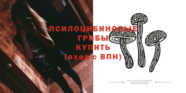 ECSTASY Алексин