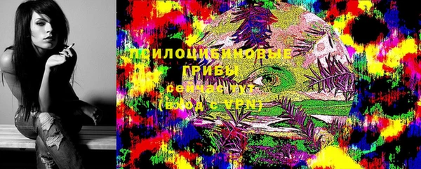 ECSTASY Алексин