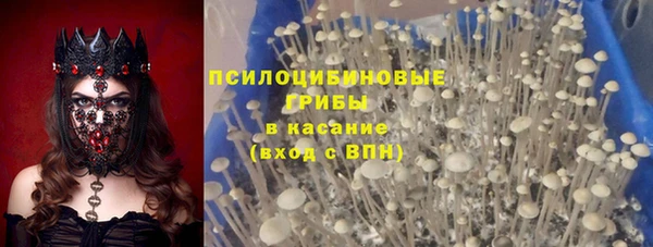Альфа ПВП Алексеевка