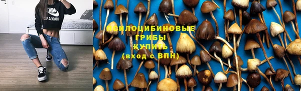 ECSTASY Алексин